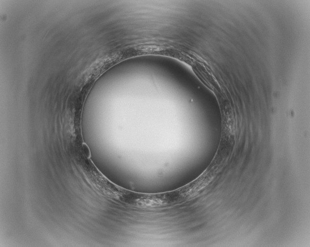 X0000060260512200511112024