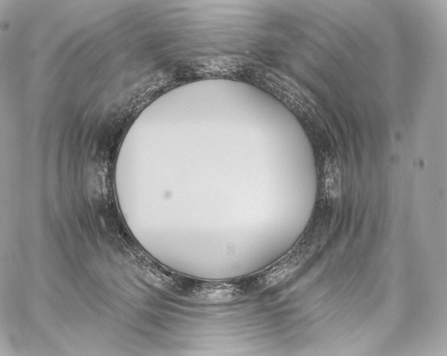 X0000060260514200511112024