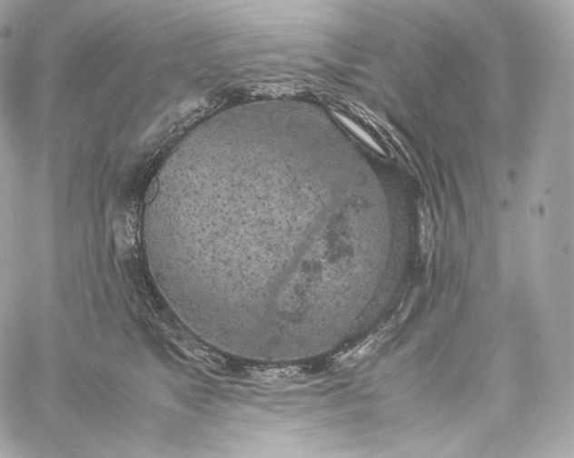 X0000060260517200511112024