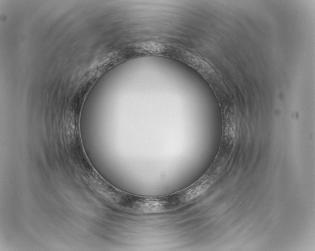 X0000060260518200511112024