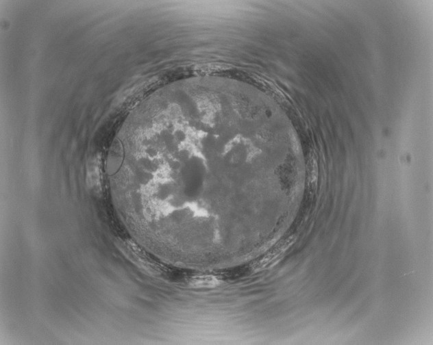 X0000060260519200511112024