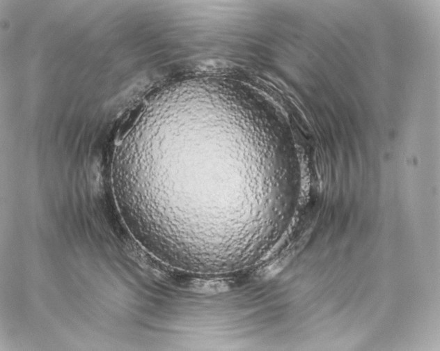 X0000060260520200511112024