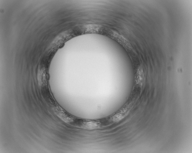 X0000060260522200511112024