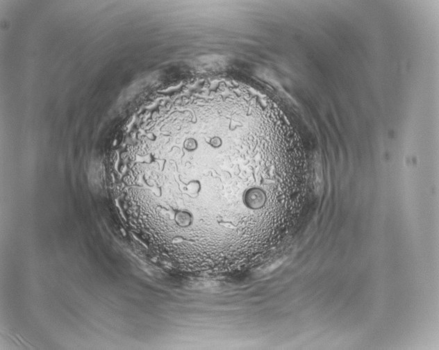 X0000060260523200511112024