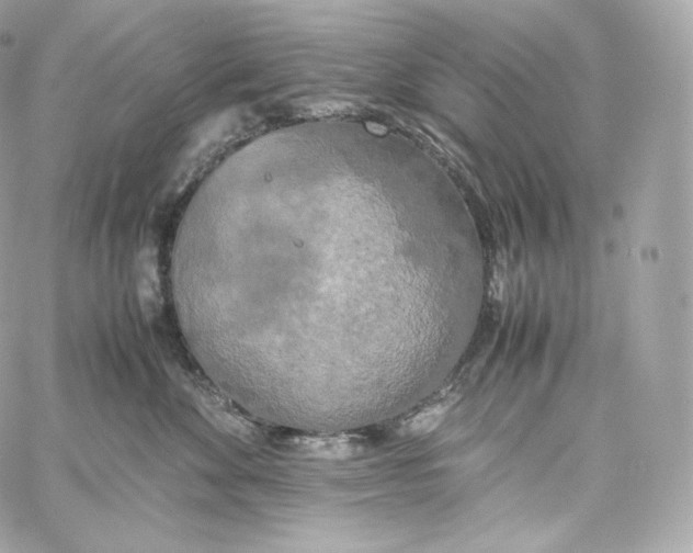 X0000060260524200511112024