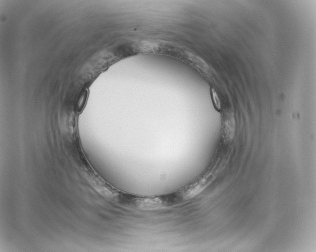 X0000060260525200511112024