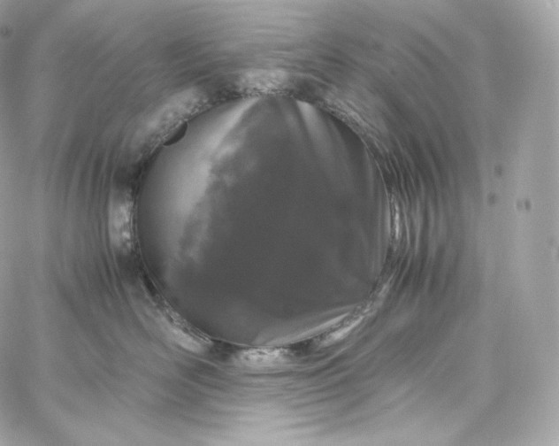 X0000060260526200511112024