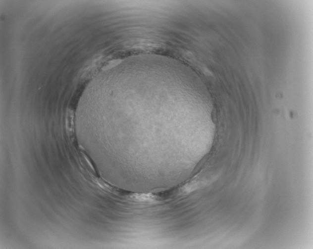 X0000060260528200511112024