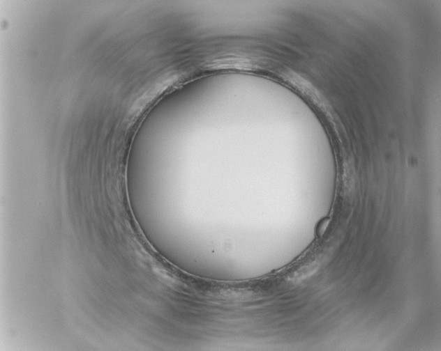 X0000060260529200511112023