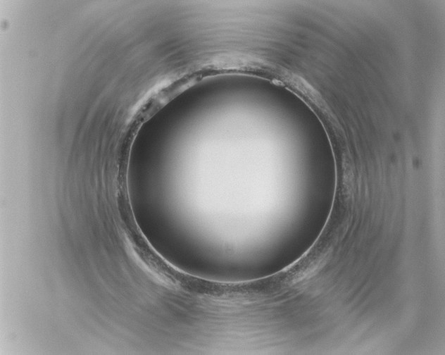 X0000060260530200511112023