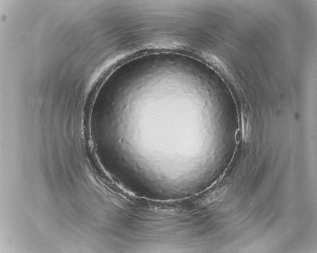 X0000060260531200511112023