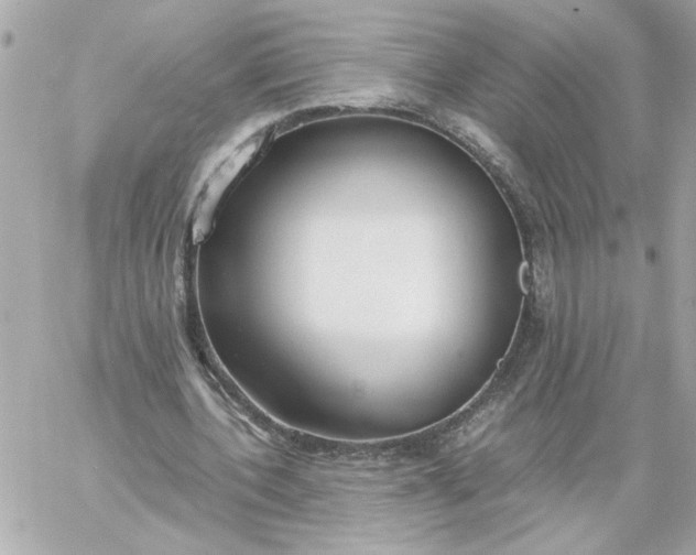 X0000060260532200511112023