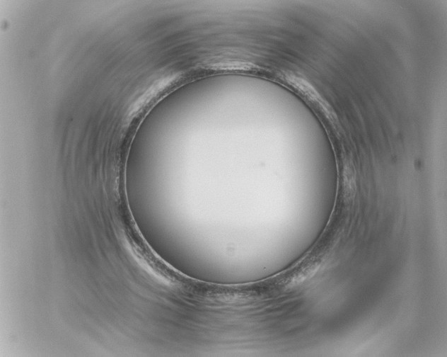 X0000060260533200511112023