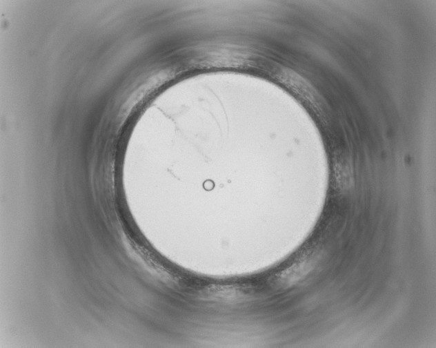 X0000060260534200511112023