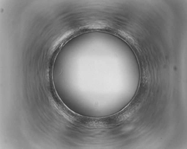 X0000060260535200511112023