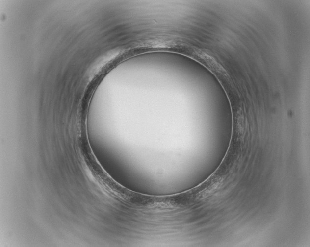 X0000060260536200511112023