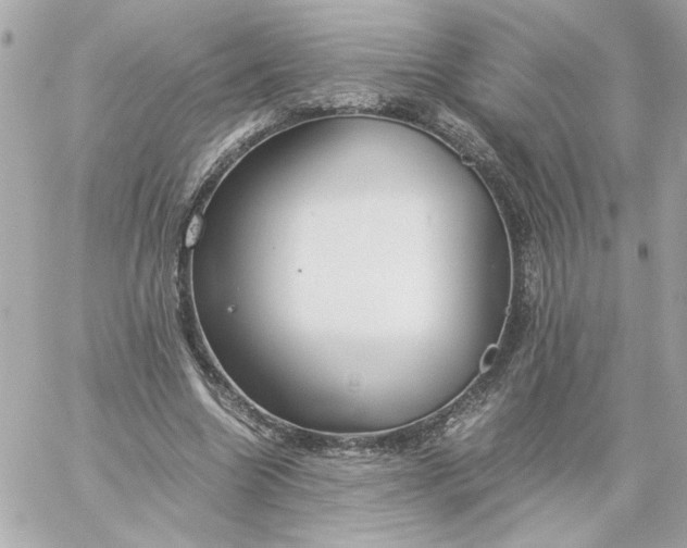 X0000060260538200511112023