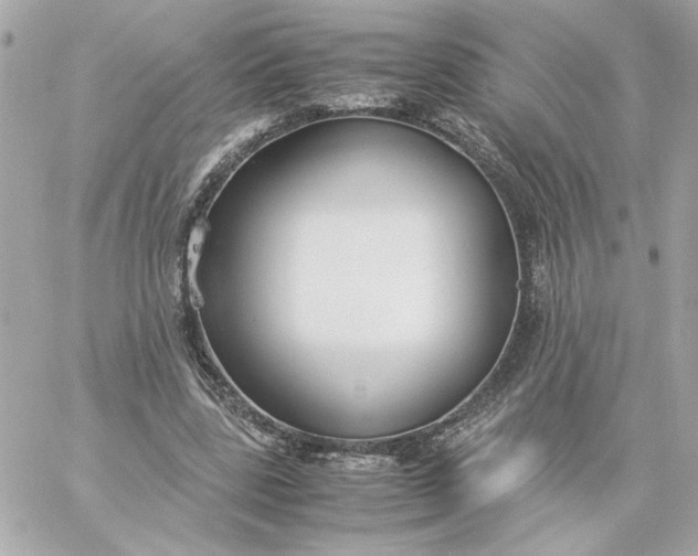 X0000060260539200511112024