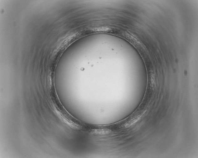 X0000060260541200511112024