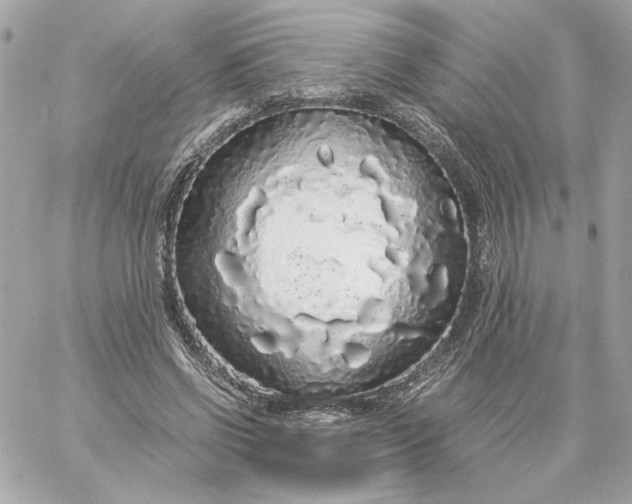 X0000060260542200511112024