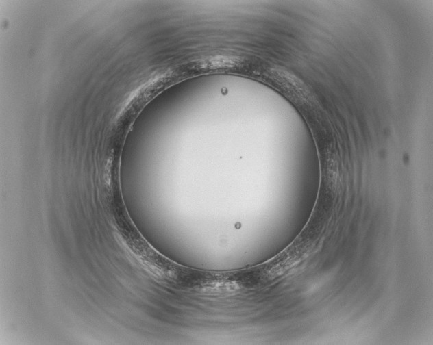 X0000060260543200511112024