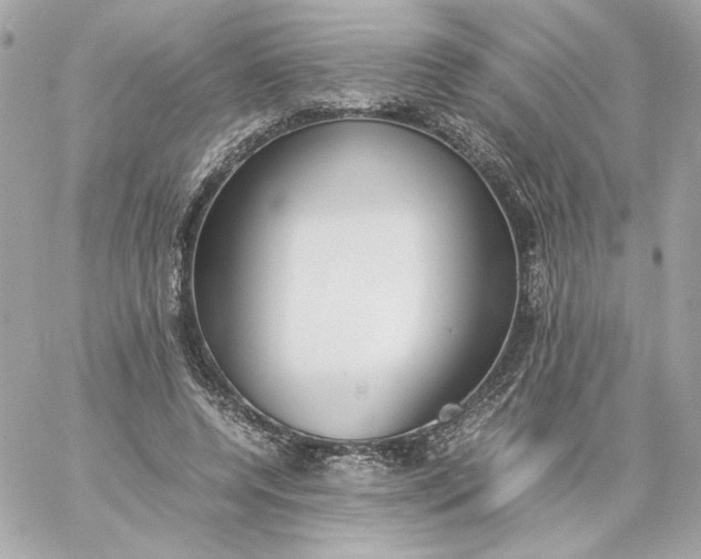 X0000060260544200511112024