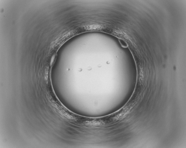 X0000060260545200511112024