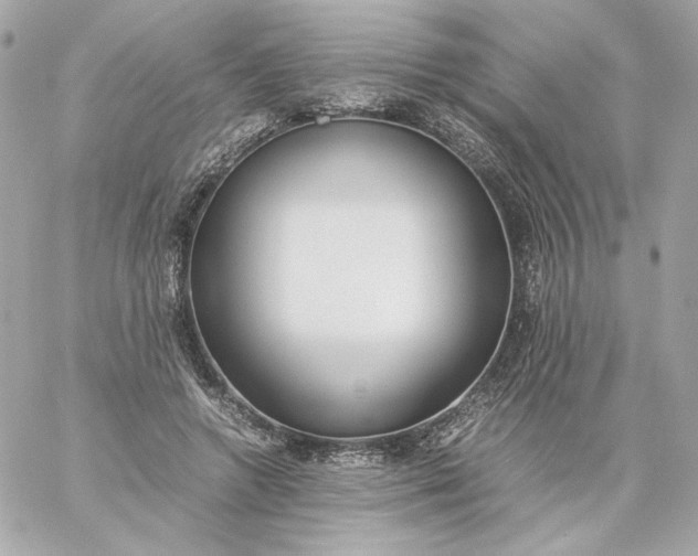 X0000060260546200511112024