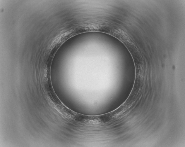 X0000060260548200511112024