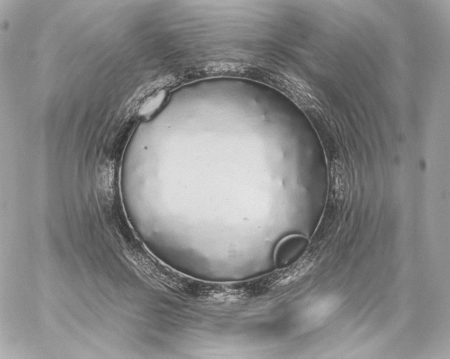 X0000060260550200511112024