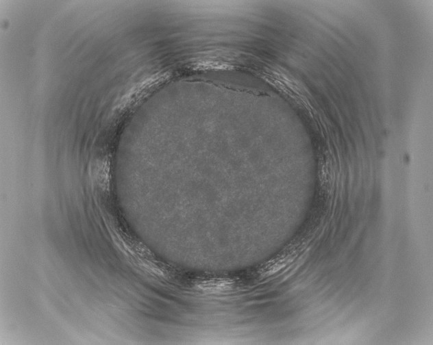 X0000060260551200511112024