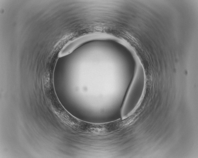 X0000060260552200511112024