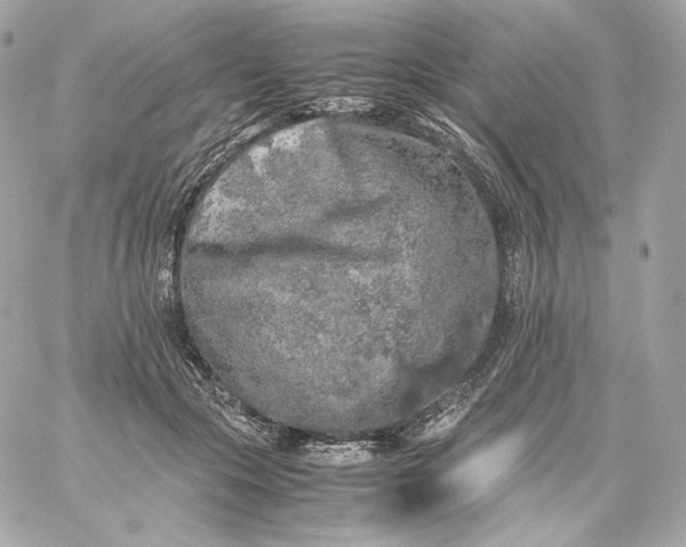 X0000060260553200511112024