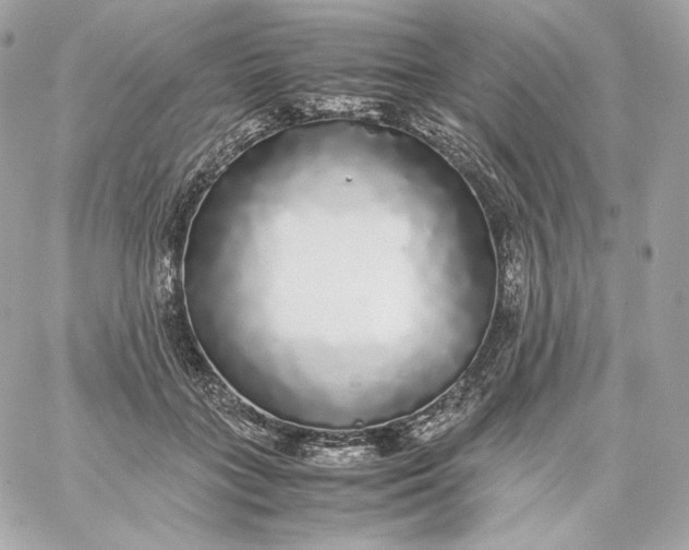 X0000060260555200511112024