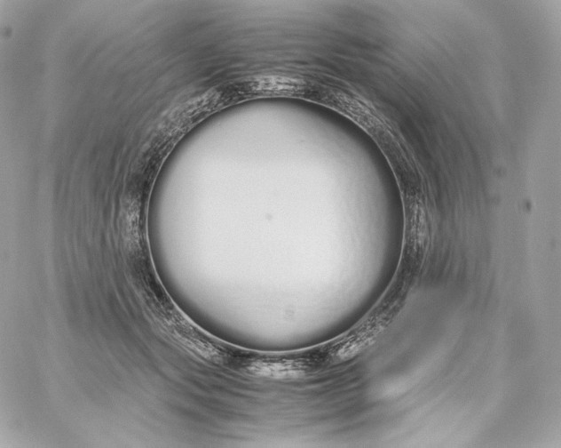 X0000060260557200511112024