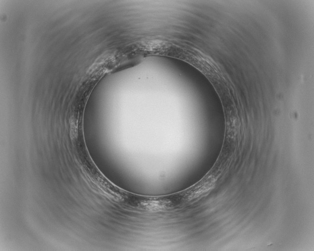 X0000060260558200511112024