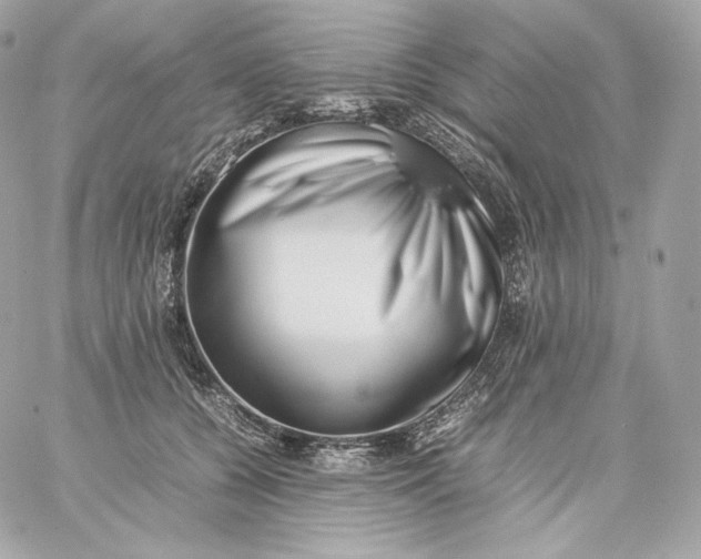 X0000060260560200511112024