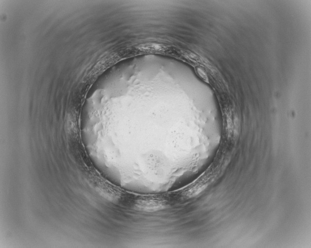 X0000060260561200511112024