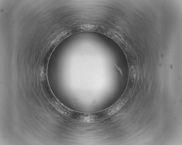 X0000060260564200511112024