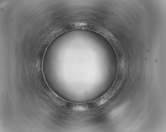 X0000060260565200511112024