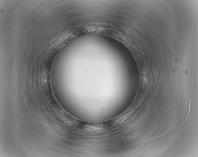 X0000060260567200511112024