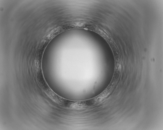 X0000060260568200511112024