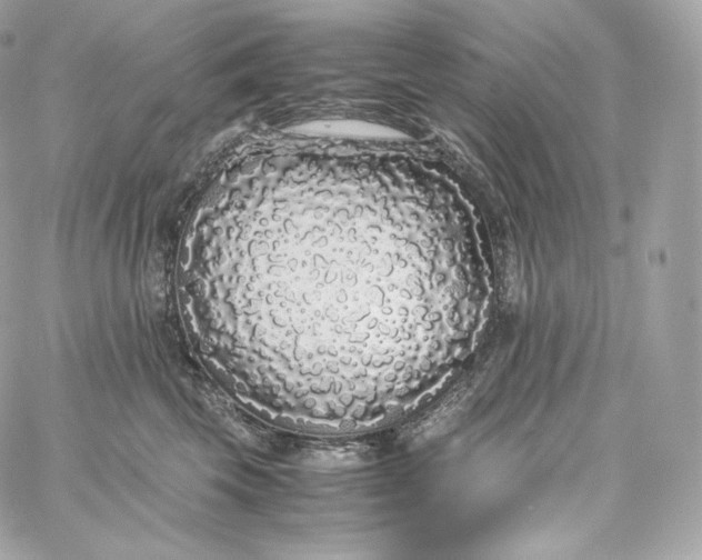 X0000060260569200511112024