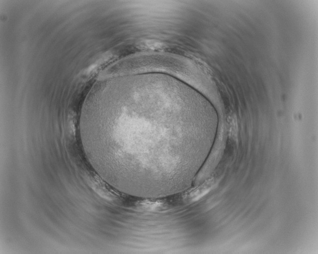 X0000060260570200511112024