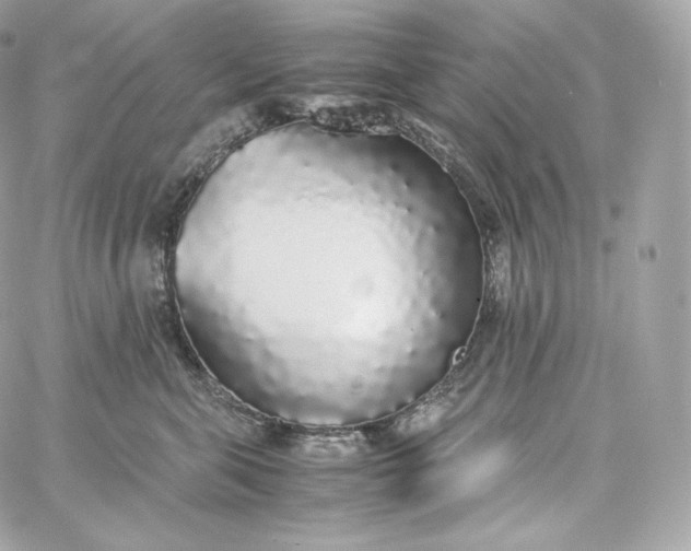 X0000060260571200511112024