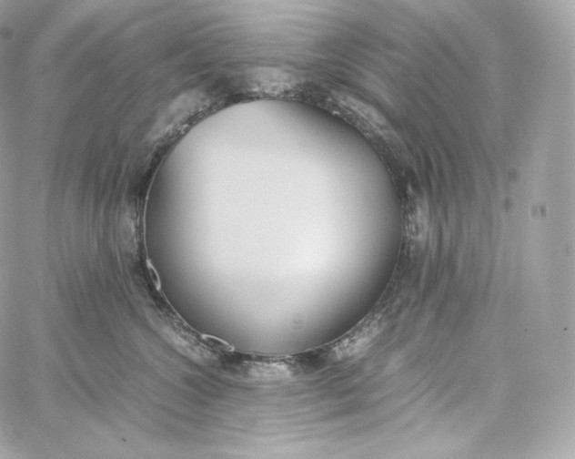 X0000060260572200511112024