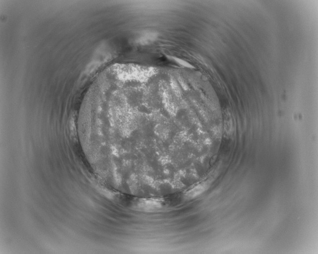 X0000060260573200511112024