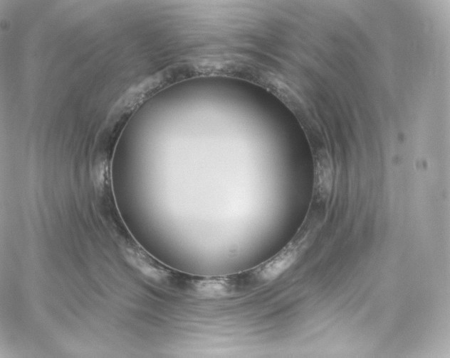 X0000060260574200511112024