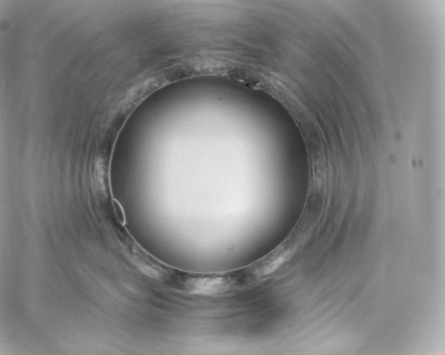 X0000060260575200511112024