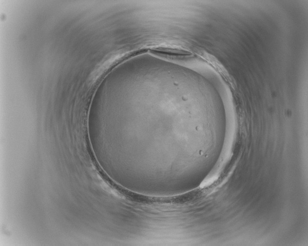 X0000060260577200511112023